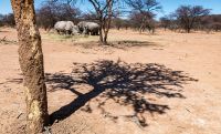 12 waterberg 12 waterberg