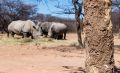 12 waterberg 12 waterberg