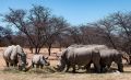12 waterberg 12 waterberg