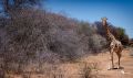 12 waterberg 12 waterberg