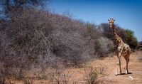 12 waterberg 12 waterberg