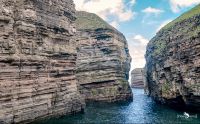0051 puffin cove