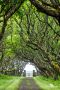 0053 castle of mey