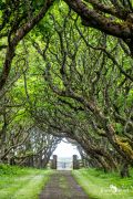 0053 castle of mey