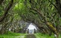 0053 castle of mey