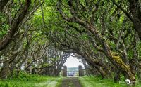 0053 castle of mey