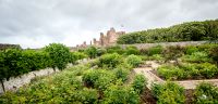 0053 castle of mey