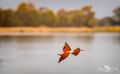 02 nunda river lodge