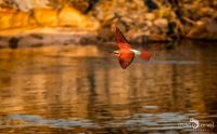 02 nunda river lodge