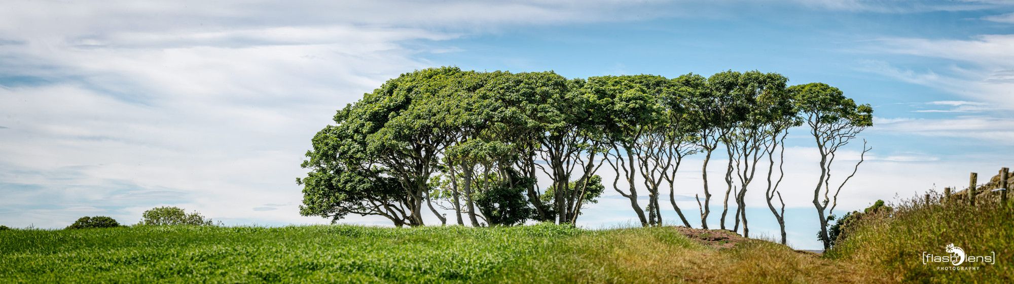 0067 fowlsheught cliffs