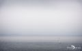 01 ardnamurchan