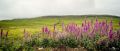 01 ardnamurchan