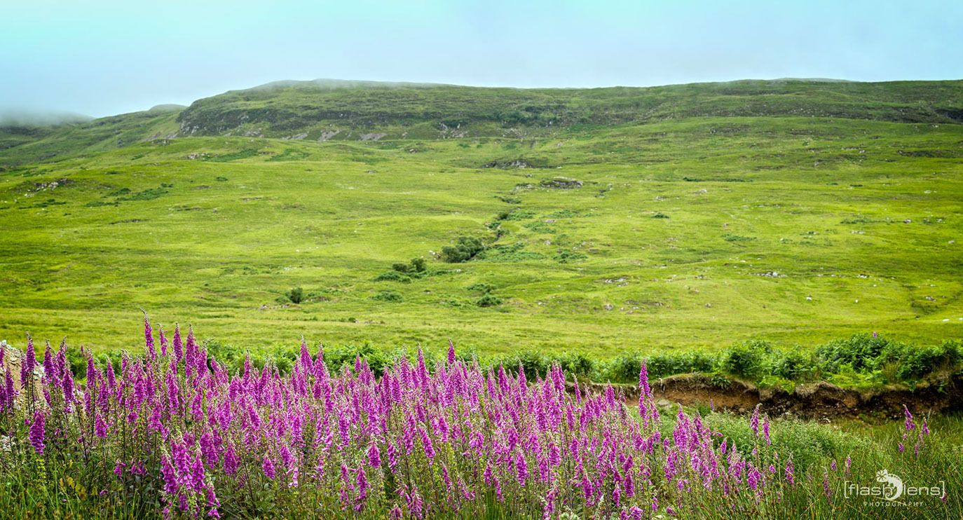 01 ardnamurchan