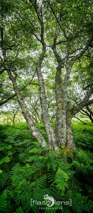 01 ardnamurchan