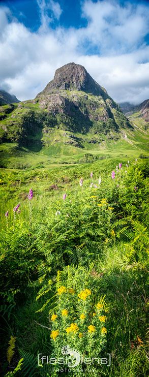 03 glencoe