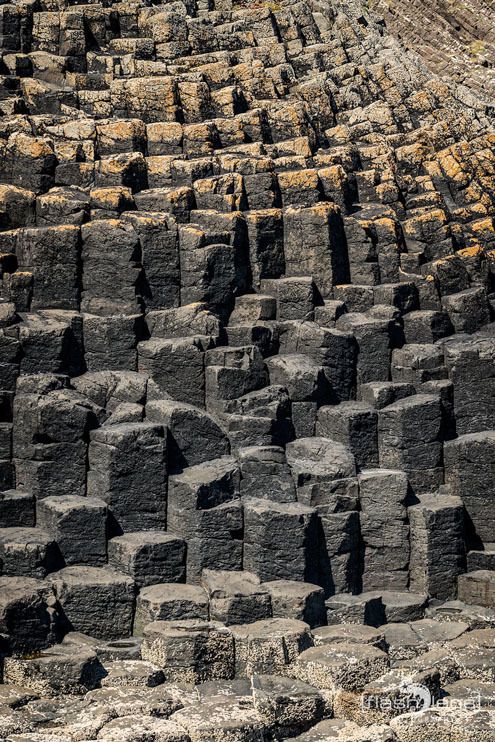 06 staffa