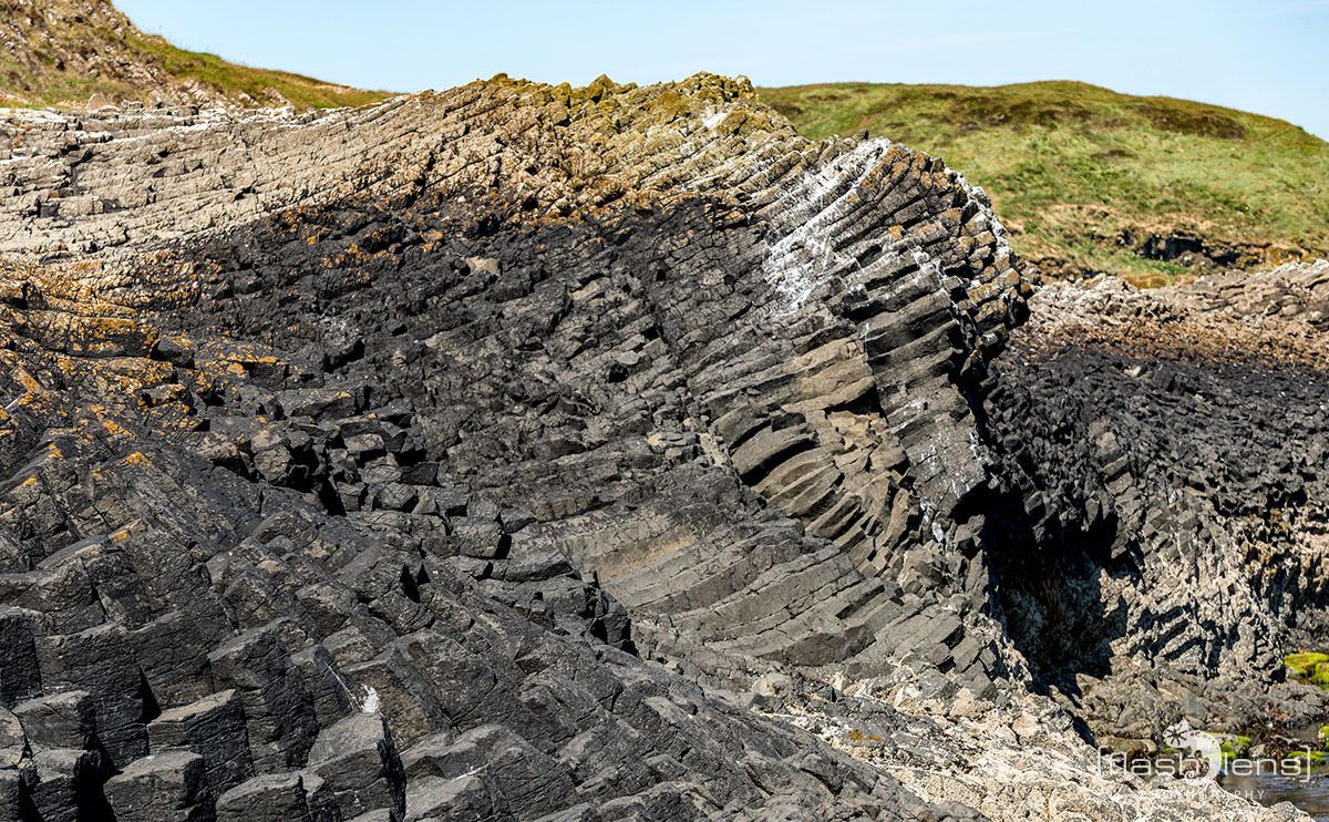 06 staffa