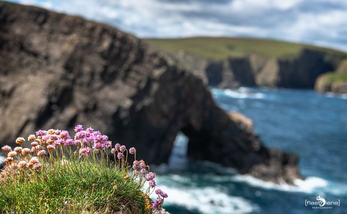 0044 strathy point lighthouse