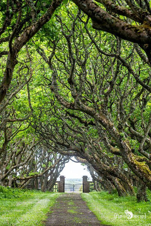 0053 castle of mey