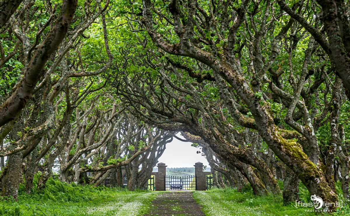 0053 castle of mey