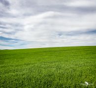 0067 fowlsheught cliffs