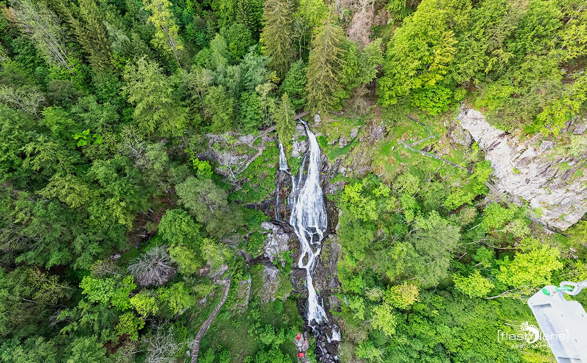 schwarzwald