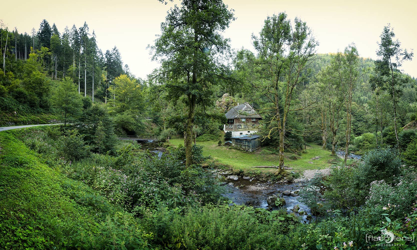 schwarzwald
