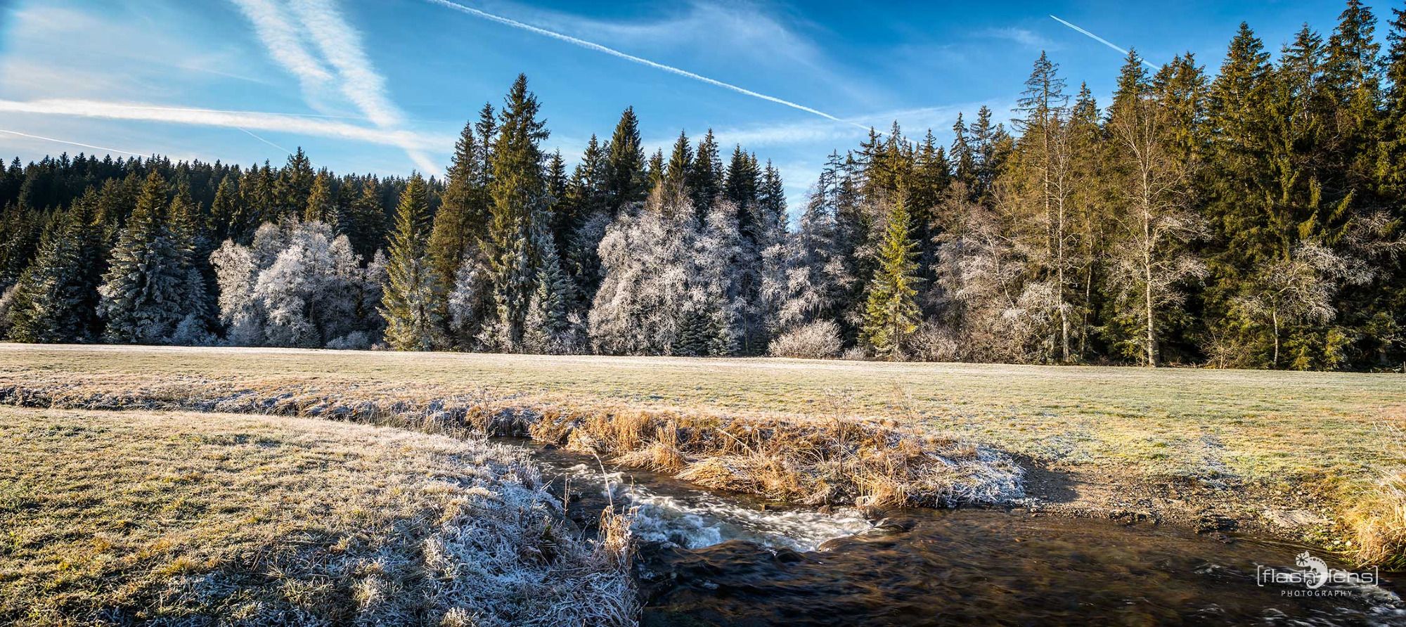 schwarzwald