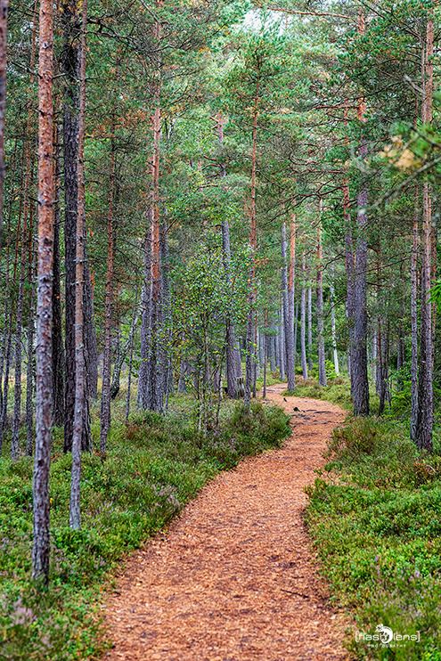 schweden