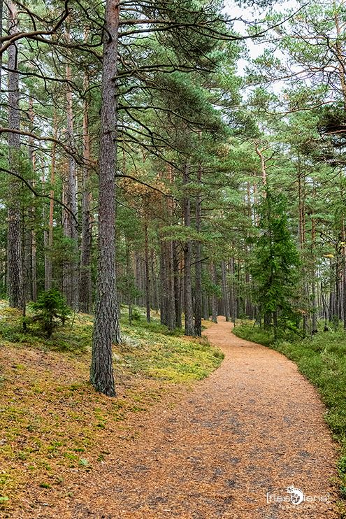 schweden