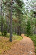 schweden