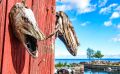 schweden