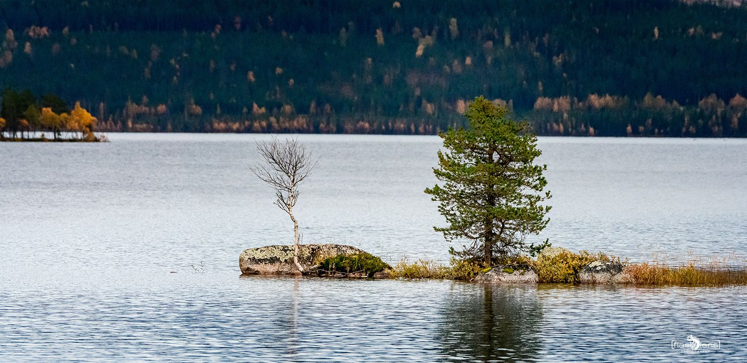 schweden