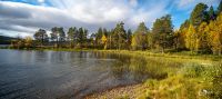 schweden