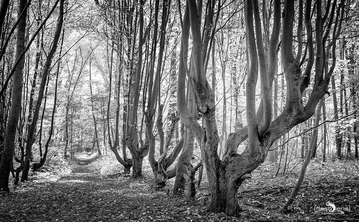 uckermark