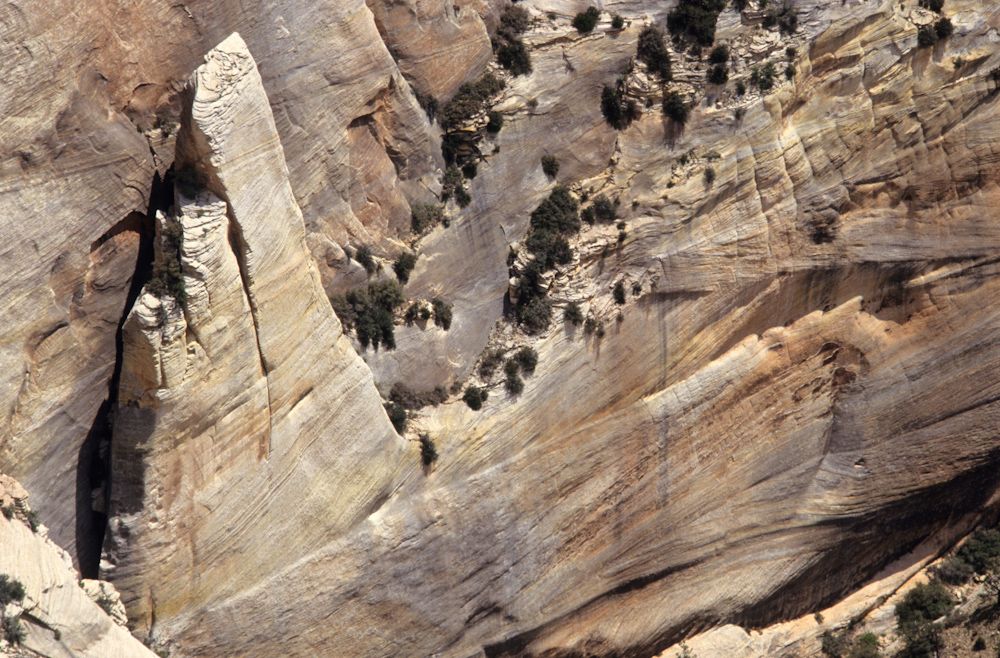 usa 1993