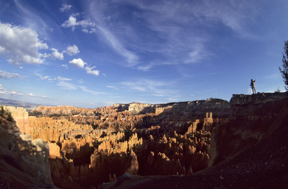 usa 1993