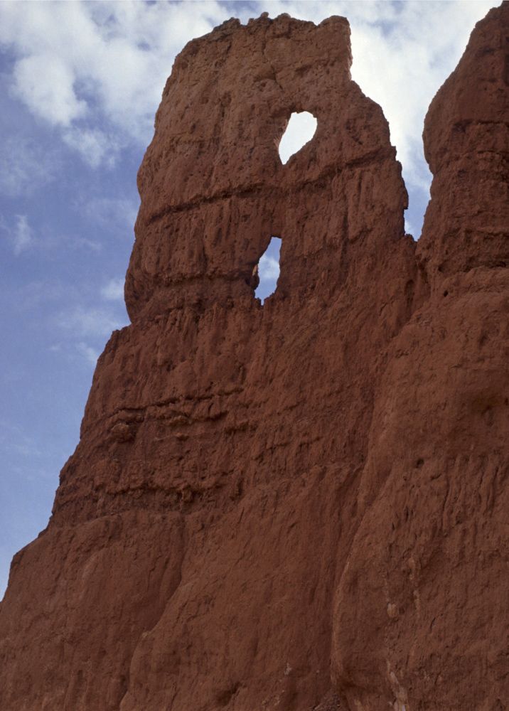 usa 1993