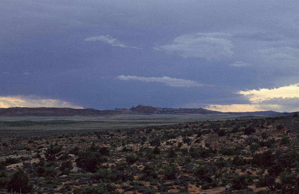 usa 1993