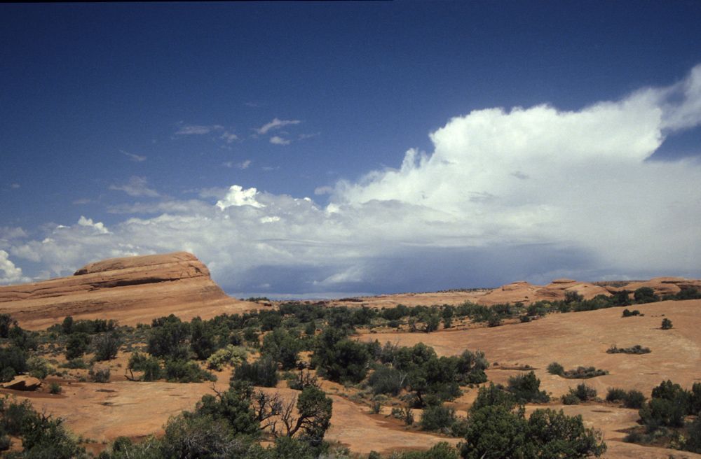 usa 1993