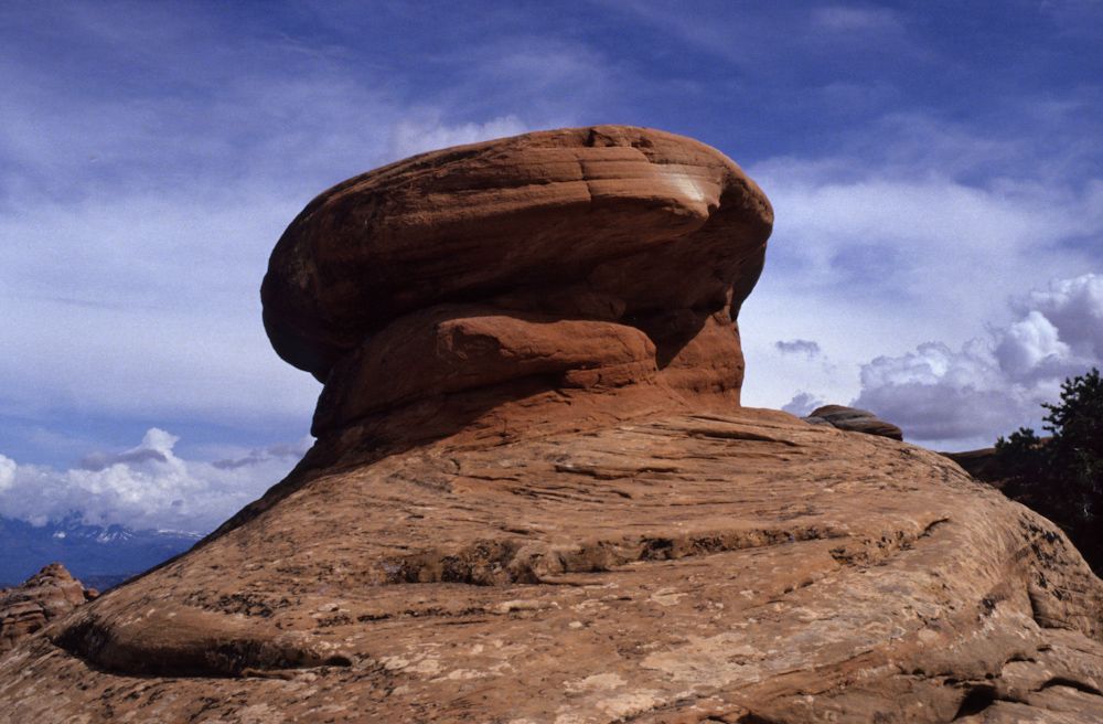 usa 1993