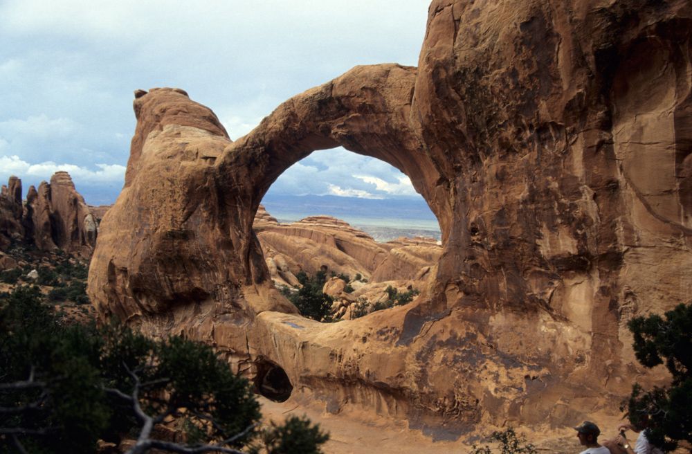 usa 1993