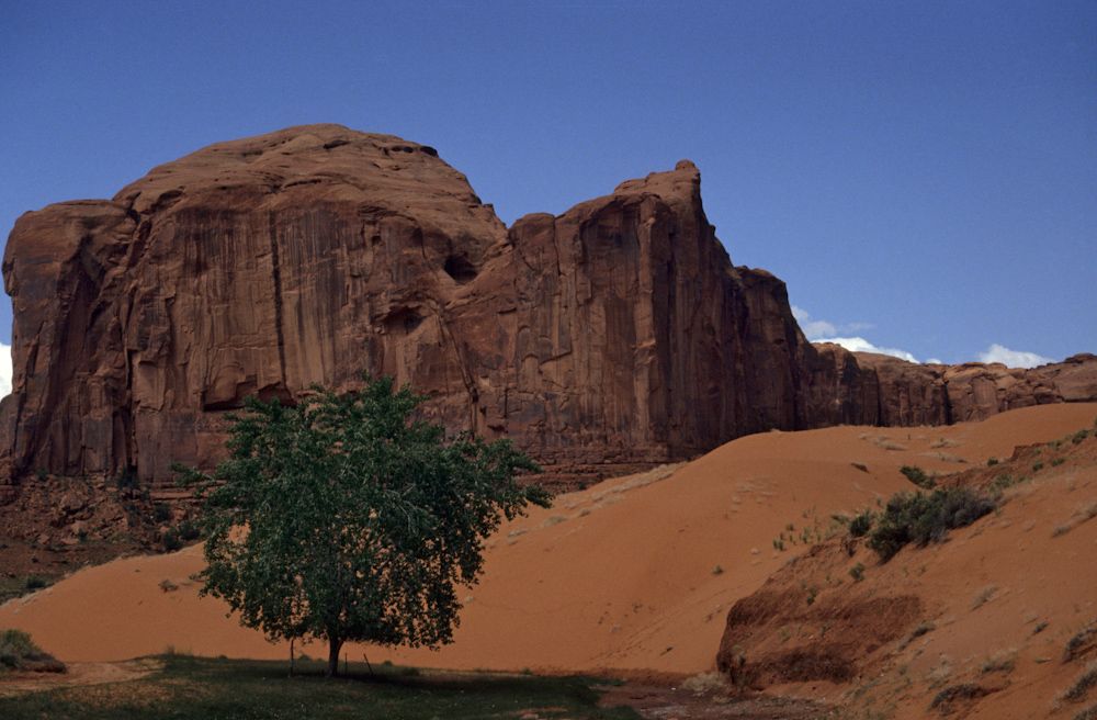 usa 1993