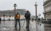 venedig 2014