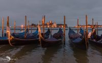 venedig 2014
