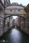 venedig 2014