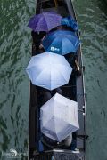 venedig 2014