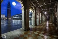 venedig 2014