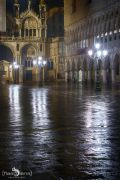venedig 2014