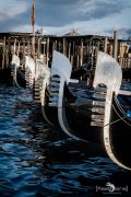 venedig im januar